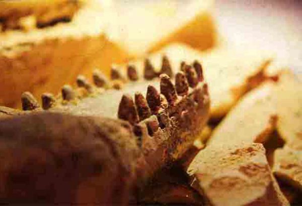 Ausgrabung a la Indiana Jones in Frankfurt am Main, Teamevent in Frankfurt am Main, Abenteuer Events in Frankfurt am Main, Teambuilding Frankfurt am Main, Teambuilding Events in Frankfurt am Main