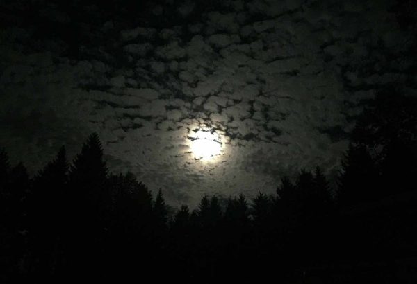 Gruselnachtwanderung - Emmerich Events