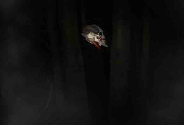 Gruselnachtwanderung in Dortmund, Teambuilding Events in Dortmund Horror Events Dortmund, Grusel Events in Dortmund, Events in Dortmund, Emmerich Events Dortmund