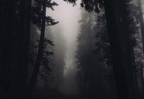 Gruselnachtwanderung in Leipzig - Teambuilding Events in Leipzig - Horror Events in leipzig - Grusel Events in Leipzig - Events in Leipzig - Emmerich Events Leipzig
