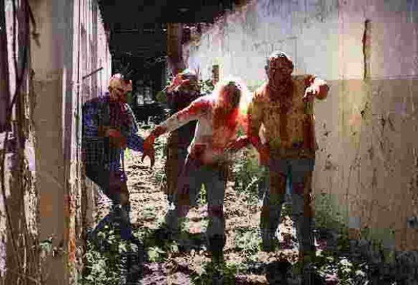 The living Dead Experience Bremen - Teambuilding - Teambuilding Events in Bremen - Grusel Events in Bremen - Events in Hamburg - Horror Events in Bremen