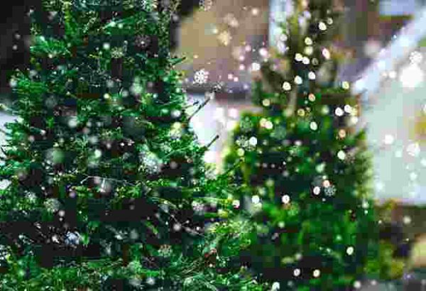 Weihnachtsbaumschlagen Bremen, die Weihnachtsfeier in Bremen, Weihnachtsfeier, Weihnachtsevent in Bremen, Weihnachtsfeier Bremen, Weihnachtsfeier Bremen, Firmenevents, Firmenevent in Bremen