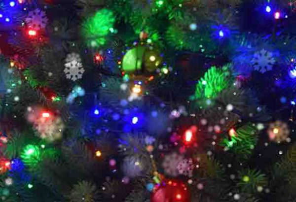 Weihnachtsbaumschlagen Hannover, die Weihnachtsfeier in Hannover, Weihnachtsfeier, Weihnachtsevent in Hannover, Weihnachtsfeier Hannover, Weihnachtsfeier Hannover, Firmenevents, Firmenevent