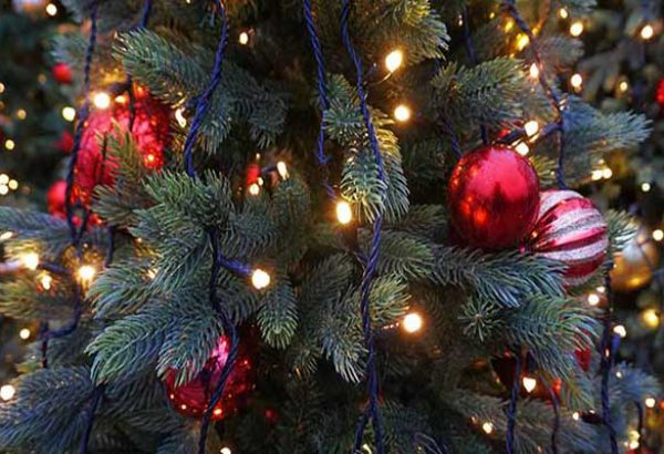 Weihnachtsbaumschlagen in Dortmund, die Weihnachtsfeier in Dortmund, Weihnachtsfeier in Dortmund, Weihnachtsevent in Dortmund, Weihnachtsfeier Dortmund, Firmenevents, Firmenevent in Dortmund