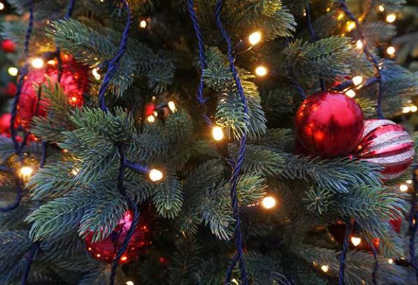 Weihnachtsbaumschlagen in Hamburg, die Weihnachtsfeier in Hamburg, Weihnachtsfeier, Weihnachtsevent in Hamburg, Weihnachtsfeier Hamburg, Weihnachtsfeier Hamburg, Firmenevents, Firmenevent Hamburg
