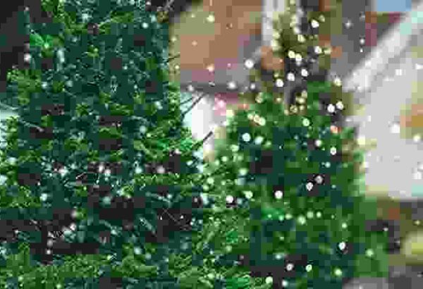 Weihnachtsbaumschlagen in München, die Weihnachtsfeier in München, Weihnachtsfeier München, Weihnachtsevent in Berlin, Weihnachtsfeier München, Weihnachtsfeier München