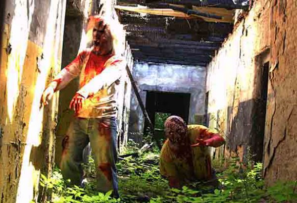 Zombie Virus in Dresden, Teambuilding Events in Dresden, Horror Events in Dresden, Grusel Events in Dresden, Events Dresden, Emmerich Events in Dresden