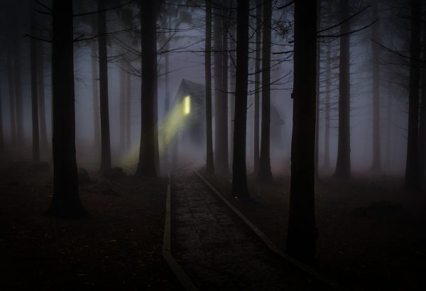 Gruselnachtwanderung in Frankfurt am Main - Grusel Events - Horror Events - Grusel Berlin - Events in Leipzig - Grusel Events - Horror Events - Grusel Erlebnisse - Gutschein zum Geburtstag - Emmerich Events